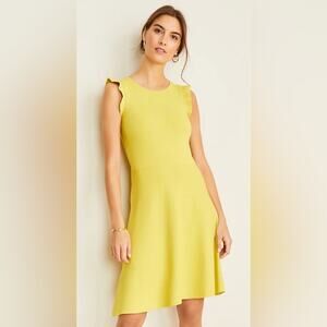 Ann Taylor Ruffle Sleeve Flare Sweater Dress
